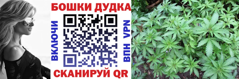 Купить закладки  Людиново  Марихуана план 